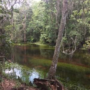 Meet your Posher, Rosaura